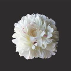 Peony Vodka is a premium vodka subtly flavored with a blend of nine botanical ingredients celebrating the joys of country living. #peonyvodka