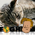 PManion's profile picture. Software developer, humorist, science fiction fan, rock music fan, language enthusiast, intellectual geek.