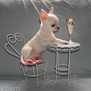 Tonya Akin - @blondee46 - Twitter