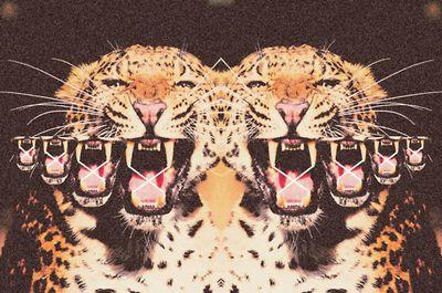 Sometimes we just need to have fun for a while, laught for something or just to be crazy.
JVM-MonsterJ-