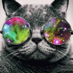 danielg46806377's profile picture. 13 Años,Hincha de River Plate