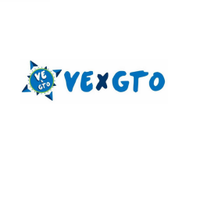 Ve X gto(@veXgto) 's Twitter Profile Photo