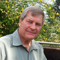 Drew Neill (@drew_neill) 's Twitter Profile