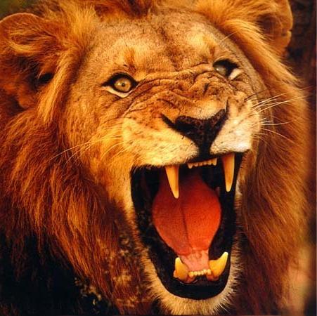 Letsgo_1's profile picture. Shifting the paradigm one day at a time.