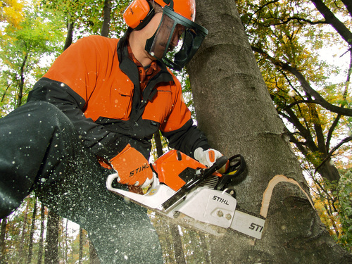 STIHL is the world's leading brand of chainsaws and is a market leader in the outdoor power equipment industry.