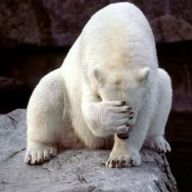 ioltvl's profile picture. 