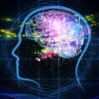 Adrian Jaramillo (@neuroeconomicon) 's Twitter Profile