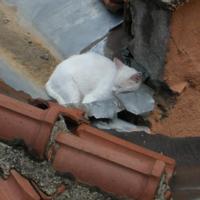 fecri (@fecrisengur) Twitter profile photo