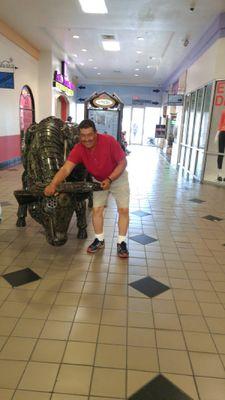 JuanAAg13740774's profile picture. I am juan Aguilar the guy that take the bull for the horns