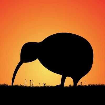 #kiwikares : Shy nocturnal (The Kiwi Bird) Invests in you with virtual stock market game #empireavenue