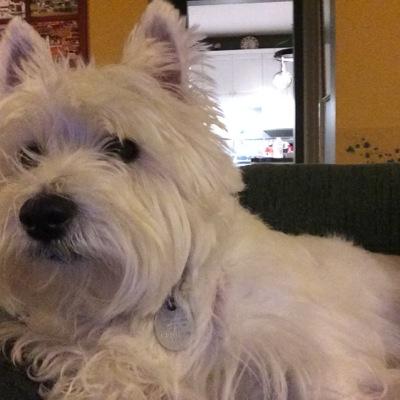 tara_fain's profile picture. 