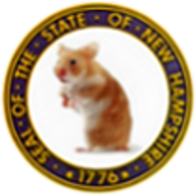 new hamster state
