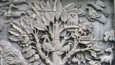 RocketBiology1's profile picture. 