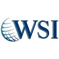 WSI Digital Plus(@WSI_digitalplus) 's Twitter Profile Photo