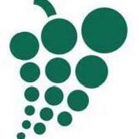 ASVO (@asvotweet) 's Twitter Profile
