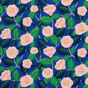 shiadeai's profile picture. 