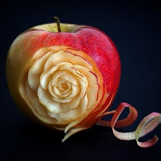 KyleLeila's profile picture. 