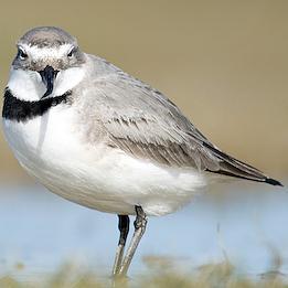 BillMcGeoch1's profile picture. Uncertain about position and momentum