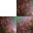 syafiraarizky's profile image