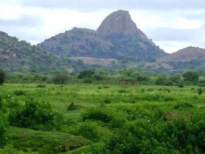 mhmd140679's profile picture. 