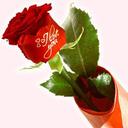 نور (@01_0793606629) Twitter