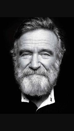 berets99's profile picture. Love musica/film/books/

Aforismi-citazioni