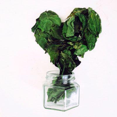 Realcityfoodza's profile picture. Food produced IN the city FOR the city Realcityfoodza@gmail.com