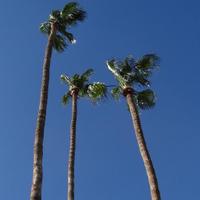 FRB (@frb) 's Twitter Profile