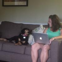 Stephanie Tretolo (@stretolo) 's Twitter Profile