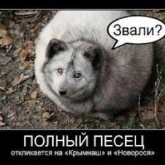 Huevui_Parmesan's profile picture. 