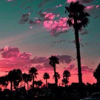 AmandaDalben's profile picture. 