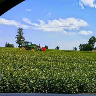 VctorGutirrez15's profile picture. 