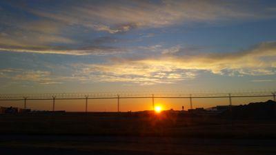 simplyreiko32's profile picture. -unpredictable-