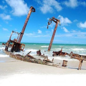 CassinoEmpreend's profile picture. 