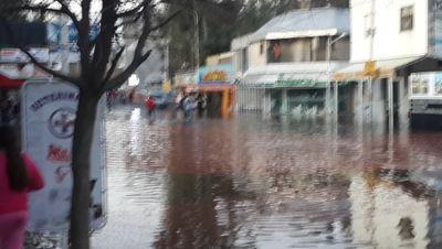 pergaminoleo's profile picture. 