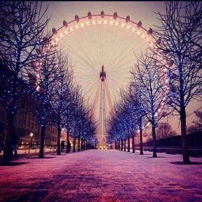 luzdimy_ruiz's profile picture.