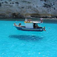 شاعر غلا (@a340725) Twitter profile photo