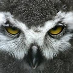 HRIV2's profile picture. ']['empleMade and Proud of it