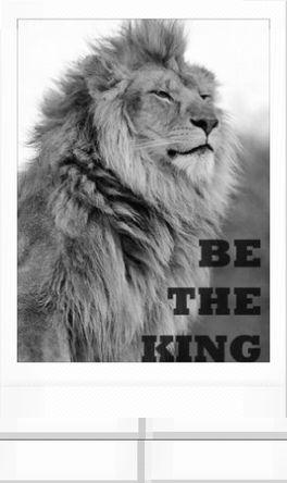 Andresw01's profile picture. Chilled & Balanced|Lions|Highveld Lions|Orlando Pirates|Arsenal