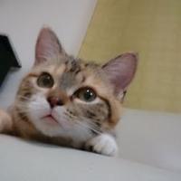 taki (@tptaki1330) 's Twitter Profile