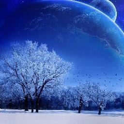 tramloiquan's profile picture. 