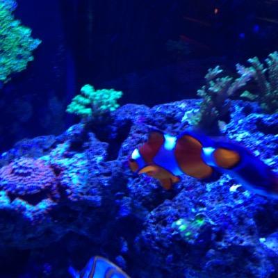 FazeAdaptzBro's profile picture. faze adapts brotherish