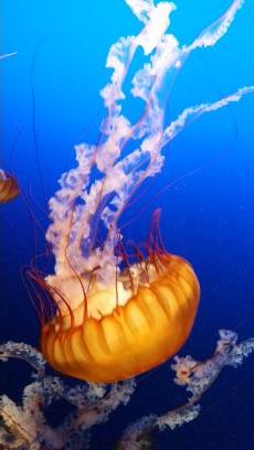 Jo_wash's profile picture. Loading.........