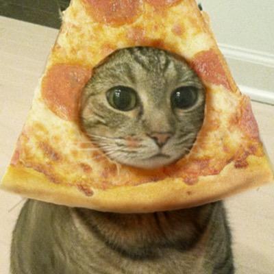 S1uice's profile picture. Resident of Infinity | This account is indirectly Not Safe For Work / R18 | No seriously this is a perve account | BLM | 55% less pervey as of 2025 | 🇵🇸