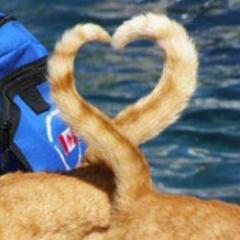 Kahlua0508's profile picture. ❖CLOSERS＆ソウルワーカー待機勢　 ❖趣味－ゲーム全般・音楽(洋楽、邦楽、アニソン、ボカロ)　　　　　　　　　　 ❖新しくサービス開始のゲームを楽しく遊びたい！ので、絡んでやんよ！って方はフォローお願いします( ｰ̀ωｰ́ )