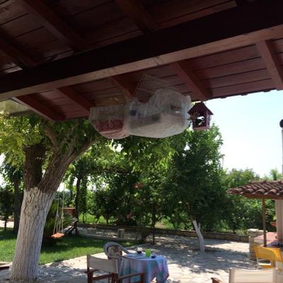 AMCMpJknB166aMs's profile picture. 