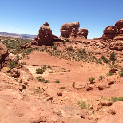 sjm553's profile picture. 