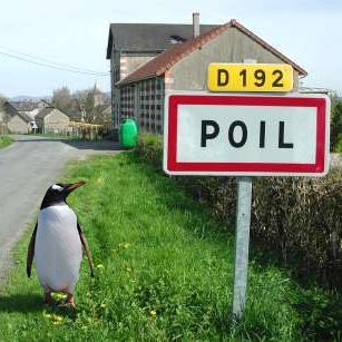 Riffit69's profile picture. Mes tweets n'engagent que moi, ma famille, mes amis, mon pays et l'ensemble de l'humanité sur 17 générations.