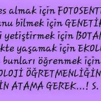 Efe Yörükhan (@biyoefe) 's Twitter Profile Photo Efe Yörükhan (@biyoefe) 's Twitter Profile Photo