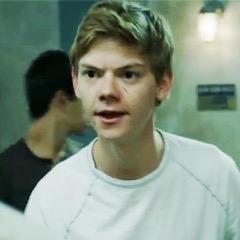 fixpizza's profile picture. 